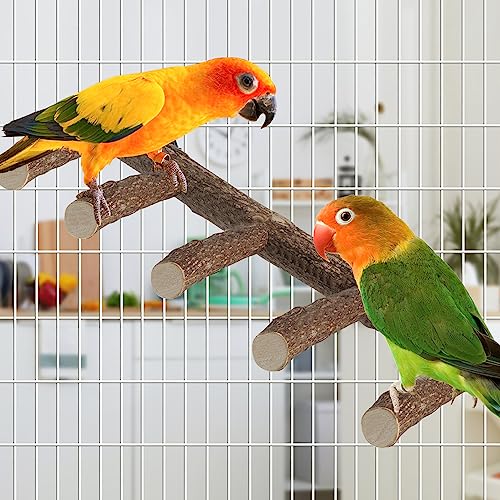 Parrot Wood Stand, Parrots Perch for Cage, Natural Bird Ladder | for Small Medium Parrot, Parakeets, Cockatiels, Conures, Hamster(12.2 inch)