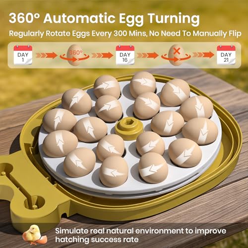 18&33 Egg Tray - Egg Incubators for Hatching Eggs with Automatic Egg Turning & Humidity Control, LED Display, Air Vent, Auto Water Refill & Egg Candler, for Turkey, Quail, Duck, Chicken Eggs