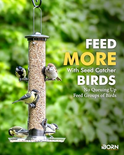 iBorn Bird Feeders Seed Catcher for Outside Hanging 6 Port Bird Feeder for Cardinal Birds Aluminium Metal,Brushed Black Nickel Finishing 14 Inch 6 Port (Seed is not Included) - color: Black, 14 inch, 6 Ports, with Tray