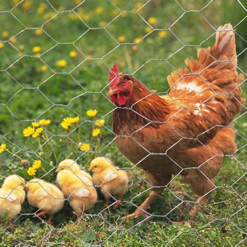 20GA Galvanized Hexagonal Poultry Netting Chicken Wire 12 inches x 150 feet x 2 inches Mesh - size: 12"x150'- 2" 20GA