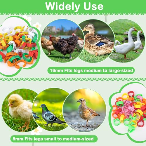 110 Pcs Chicken Leg Rings, Number Chicken Identification Hand Rings