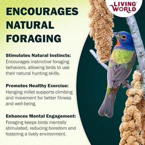 Living World - Millet Spray for Birds, 3.5 Oz – Premium Treat for Budgies, Canaries, Finches, Cockatiels and Other Pet Birds - size: 3.5 Ounce (Pack of 1)