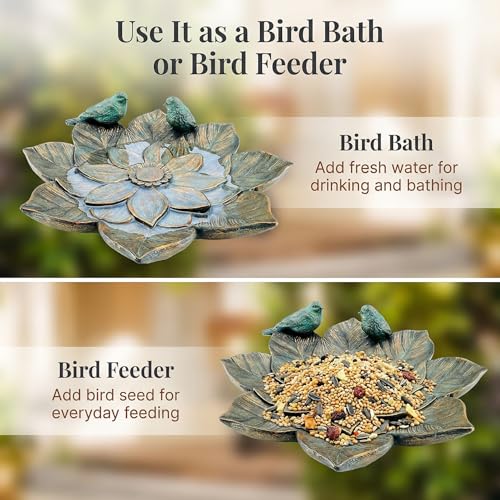 Bird Feeder and Outdoor Bird Bath Bowl, Antique Garden Resin Birdbath Bowl with Vintage Flower Design for Outside Yard or Table Decor - color: Bird Feeder