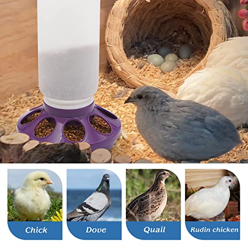 2 in 1 Chick Starter Set, 0.3Gal Feeder & 0.3Gal Waterer Set Purple | Chick Feeder and Waterer, Quail Feeder, Duck Feeder, Poultry Waterer, Chicken Feeder and Waterer Set, Baby Chicken Supplies - color: Purple