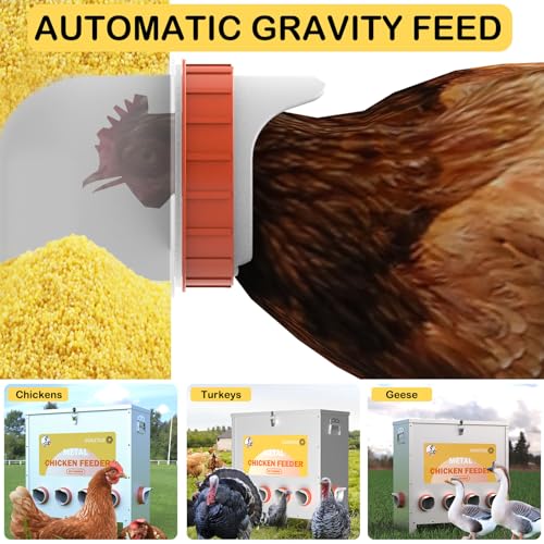 Automatic Chicken Feeder No Waste Metal Poultry Feeder Large Capacity 85lbs for Chickens, Geese, Ducks, Turkeys, Quails (10-Port) - size: 10-Port