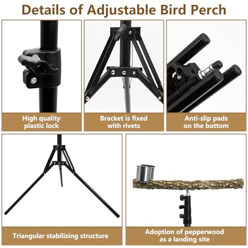 kathson 28-60inches Height Adjustable Bird Perch, Pepperwood Parrot Perch Stand with Feeding Cup, Multi-Purpose Bird Perches for Indoor and Outdoor Use, Designed for Small Medium Birds (3 PCS) - size: Bird Perch with Feeding Cup and Toy (3 Pieces)
