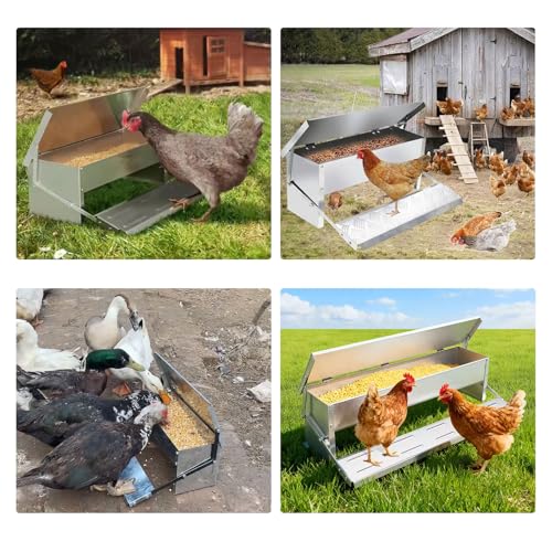 Large Capacity Automatic Chicken Feeder 4-9kg Treadle Galvanized Steel Poultry Feeders with Weatherproof Lid No Spill No Waste for Chicken, Bantams, Poultry, Pheasants, Ducks(Size:Small - 56x18cm) - size: Small - 56x18cm