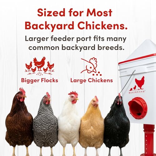 RentACoop Chicken 25lb No-Waste Feeder & 5 Gallon Automatic Waterer Set
