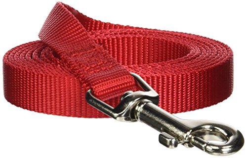Zack & Zoey Basic Nylon Dog Leash, 6-Feet x 5/8-Inch Lead, Tomato Red - color: Tomato Red, size: 6-Feet x 5/8-Inch Lead