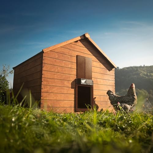 RUN-CHICKEN Door Eternal – Solar Automatic Chicken Coop Door with Built-in Solar Power & Battery Backup, Smart App & Timer Control, Weatherproof Aluminum, Predator-Proof, Easy to Install (Brown)