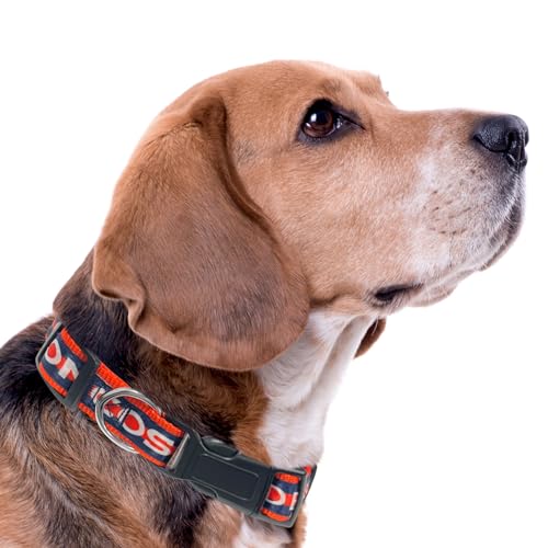 Pets First NFL Denver Broncos Licensed PET COLLAR, Small - Heavy-Duty, Strong, and Durable Dog Collar. Available in 31 Football Teams and 4 Sizes - color: Denver Broncos, size: Small