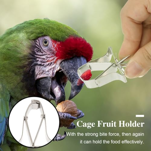 Toddmomy 4pcs Compact Bird Cage Clips Stainless Steel Convenient Small Fruit and Vegetable Food Holders for Daily Use Feeding Supplies