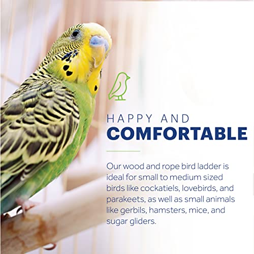 Prevue Pet Products Rope Ladder Bird Toy - Accessories for Small to Medium Birds, Hanging Birdcage Toy for Climbing, Foot Exercise, Beak Use, Mental Enrichment, and Interactive Play - size: Small to Medium