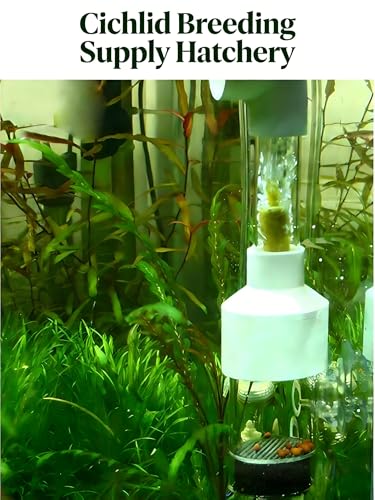 Aquarium Egg Incubator Tumbler - 50mm Fish Hatchery for Cichlids and Mouth-Brooding Species