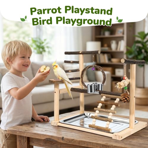 Bird Playground,Parrot Stand with Feeding Cup, Swing, Chew Toys,Removable Tray,Suitable for Small to Medium Birds, Ideal Perch for Budgerigars, Parakeets,Cockatiels