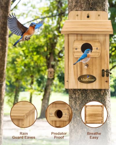 2-Pack Outdoor Birdhouse Made of Pine Wood, 1-1/2-inch Entry Hole, Suitable for Bluebirds, Chickadees, Goldfinches, Warblers, and Titmice—Assembly Required - color: Natural wood color