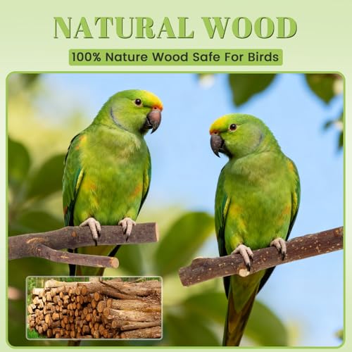 6 Pack Natural Wood Bird Perches for Cage, Wooden Parrot Perch | Wood Bird Stand Toy, Hardwood Branches, Climbing & Chew Toy for Bird Cage Accessories, Ideal for Parakeets Budgies Cockatiels - size: Medium Size-6 Pack