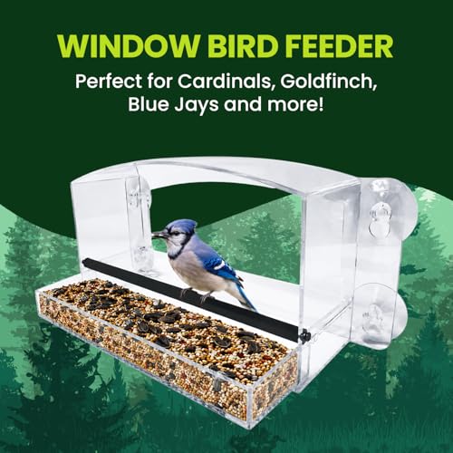 Acrylic Clear Window Bird Feeder with Strong Suction Cups, Removable Sliding Seed Tray, Weather-Resistant & Easy to Clean for Window Viewing, Dome - size: Style: Dome