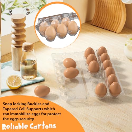 100 Pack Large Egg Cartons Cheap Bulk 6 Count Plastic Egg Containers 2x3 | Large Reusable Bulk Egg Carton Clear Egg Holder for Home Ranch Farm Commercial Market Plastic Egg Contains for Craft Project - size: 100Pack-2x3 Large