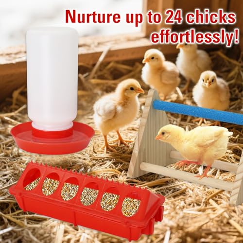 Chick Feeder and Waterer Kit with Mini Perch Chick Starter Kit for Small Poultry Ducks/Quail, Coop Brooder Feeding Supplies