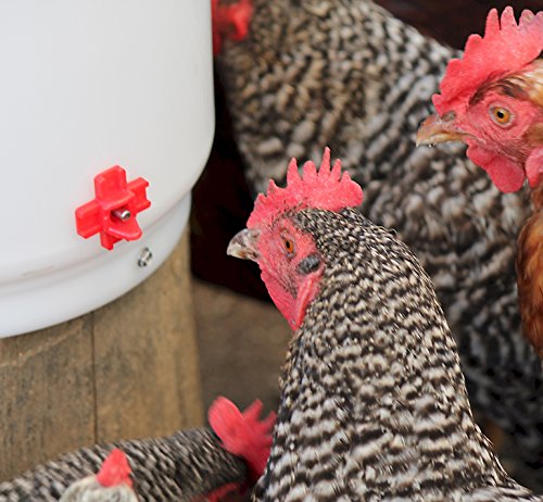 Farm Innovators RN-4 Side Mount Poultry Watering Nipples, 4-Pack