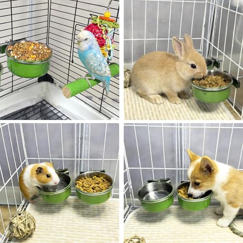 4 Pcs Parrot Feeding Dish Cups,Stainless Steel Bird Food Water Feeder Bowls | Parrot Cage Feeder with Clamp Holder Small Bird Feeding Cup for Parakeet Cockatiels Conure Budgies Chinchilla Small Animal - size: 4pcs Green
