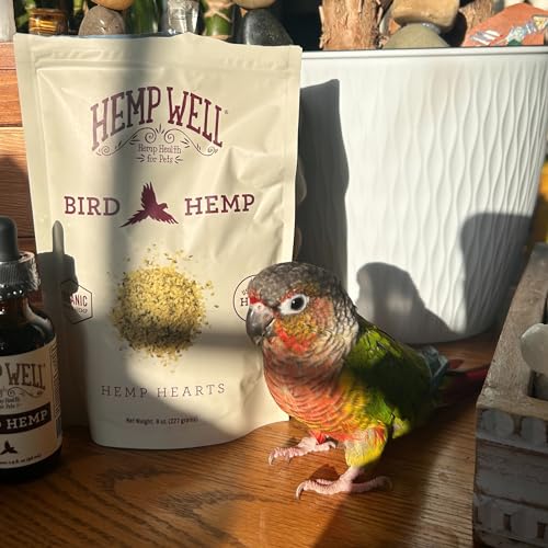 Hemp Well Organic Hemp Hearts for Birds - Reduces Feather Plucking, Promotes Relaxation, Immune Support, Organic, USA Grown, GMO Free – 8 Ounces - size: 8 Ounce (Pack of 1)