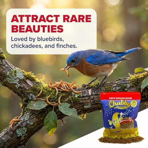 Chubby North American Grown Dried Mealworms | 5 lbs | Non-GMO High-Protein Treats for Chickens, Ducks & Wild Birds – Sustainable Chicken Feed - size: 5 Pound (Pack of 2)