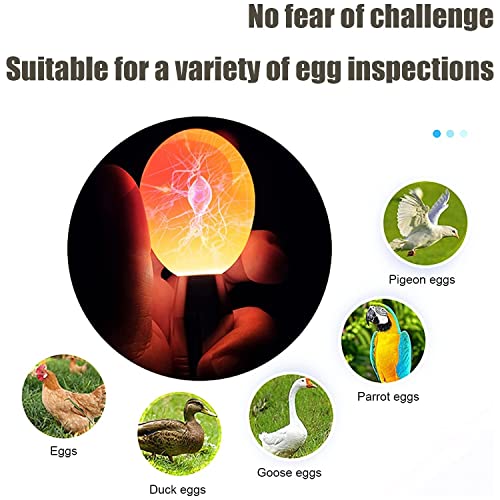 Egg Candler for Chicken Eggs, Rechargeable USB Egg Candling Light | High-Intensity Egg Candler Tester for Dark Eggs, All Chicken, Duck, and Quail - color: Black