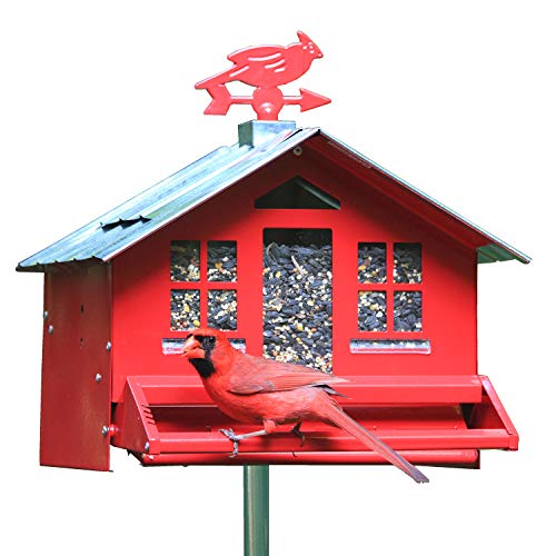 Perky-Pet Squirrel-Be-Gone II Country Style Bird Feeder, 8 lb Seed Capacity | Weight-Activated, Squirrel Proof, Metal Construction, Rust Resistant, Locking Lid, Removable Roof, Adjustable Settings, 338