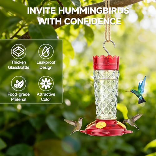 Glass Hummingbird Feeder 2-Pack 13 OZ with Ant Moats & Bee Guards | Diamond-Textured Hummingbird Feeders for Outdoors with Wide Mouth, Leak-proof Nectar Feeders, Garden Backyard Décor Gifts - color: Clear, size: 2 Pack