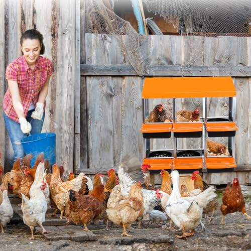 2-Tier Chicken Nesting Box, 6 Compartment Metal Nesting Box for Chickens with Waterproof Roof, Non-Slip Stable Base, Heavy Duty Chicken Laying Boxes for Hens, Poultry - color: Orange, size: 6 holes