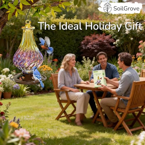 Glass Bird Feeder for Outdoors Hanging – Lantern Shape with Hook, Waterproof Wild Bird Feeder for Seeds, Outside and Garden Decoration