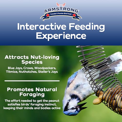 Armstrong Wild Bird Food Wreath-Shaped Peanut Feeder + 6 lb Peanuts-in-Shell Bundle – Durable Metal Hanging Coil Feeder with Nutritious Peanuts for Blue Jays, Squirrels, and Backyard Wildlife - style: Peanut Coil Bundle