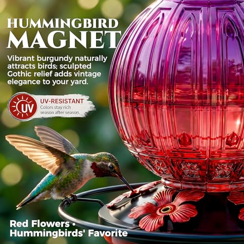 2 Pack Glass Hummingbird Feeder for Outdoors Hanging, Bird Nectar Feeder with Perch & 5 Flower Feeding Ports, 26 Oz Leak Proof for Outside Garden Decor Backyard, Gifts for Women Mom, Red + Purple Red - color: Red + Purple Red