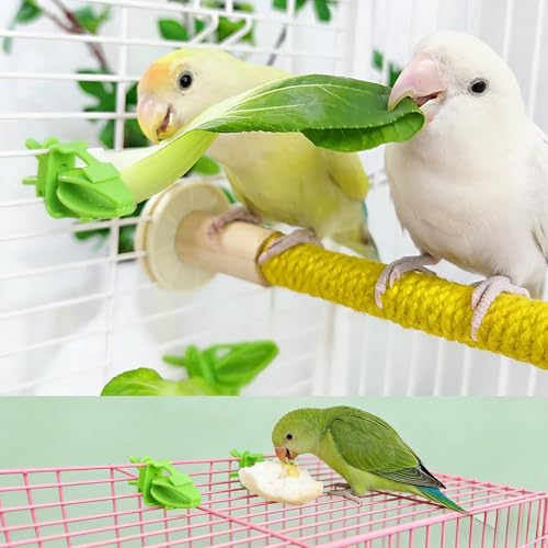 10-Pack Green Millet & Cuttlebone Holder, Bird Cage Accessories for Parakeet & Small Birds - color: Green