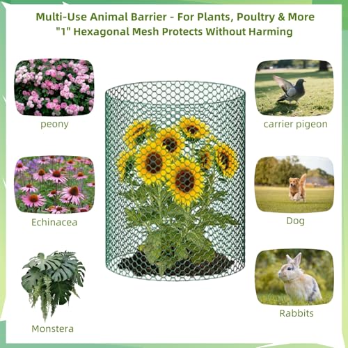 Chicken Wire for Floral Arrangements, Easy to Shape, 15.7 x 87 Inches | Upgraded Green PVC Coated Lightweight Galvanized Hexagonal Chicken Wire mesh, Floral Chicken Wire for Craft, Poultry, Garden