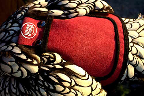 DOWN UNDER OUTDOORS 4 Pack Medium-Large Chicken Saddle Hen Apron Burgundy | Adjustable Straps, Chicken Apron, Poultry Saver, Pet Supplies, Including Shoulder Cover, 14 oz Breathable Cotton Canvas - color: burgundy