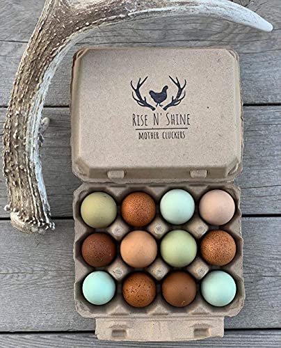 Vintage Egg Cartons for 12 Large Eggs – Classic 3x4 Layout – Durable Recycled Cardboard – Farmhouse Style – Eco-Friendly Packaging - Tan 25 Pack - color: Tan, size: 25