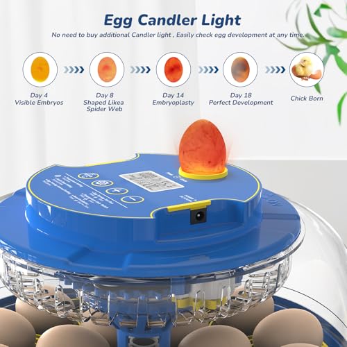 Incubator for Hatching Eggs with Automatic Egg Turning & Temperature/Humidity Control, 18 Egg Incubator for Chicken/Quail/Duck/Goose Eggs - color: Glacier Blue