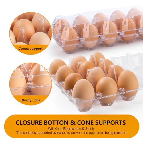 48 Pack Plastic Egg Cartons Cheap Bulk 12 Count, Clear Egg Trays 2x6 Grids | Bulk Egg Carton Fits Small to M Chicken Eggs, Reusable Egg Holder/Container for Family, Chicken Farm and Markets - size: 48P2×6