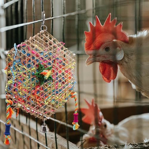 2 Pack Chicken Chewing Toys, Hanging Chick Foraging Shredder Toys, Suitable for Chicken Chick Parrot Cockatiel Conure African Grey Lovebird