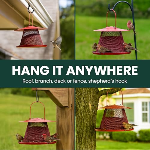 Perky-Pet Red Cardinal Wild Bird Feeder, 2.5 lb Seed Capacity | Holds Up to 15 Birds Simultaneously, Metal Hanging Feeder for Outdoors, Mesh Design, Built-In Hook & Circular Tray, C00322 - size: 1 Pack