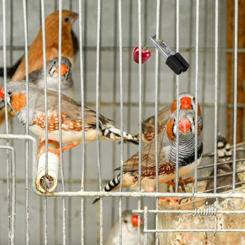Totority Bird Cage Clips 20Pcs Heavy Duty Iron Safety Door Lock, Escap-Proof Cage Trigger Hooks for Parakeets, Parrots, Lovebirds & Small Animal Enclosures, Rust-Resistant Pet Accessories