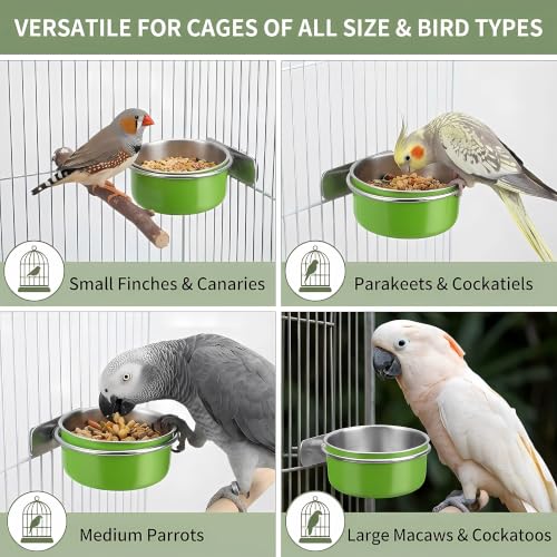 Bird Cage Bowls for Parakeets (2 Pack) - Stainless Steel Food & Water Feeder Cups with Clamp Holder, Hanging Feeder for Budgies, Canary, Conures, Lovebirds, Squirrel & Small Animals - size: 2 pcs