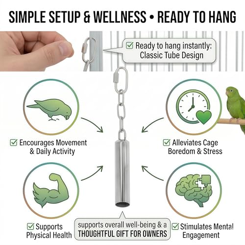 Stainless Steel Bird Bells 2-Pack | Durable Hanging Bird Toy for Cage, Interactive Budgie Toys for Parakeet & Cockatiel