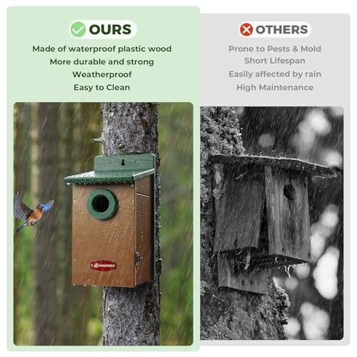 Kingyard Bluebird House, Outdoor Bird House with Predator Guard | Recycled poly lumber nesting box with a 1.5-inch entrance hole, clear viewing panel, bottom ventilation holes - color: Green