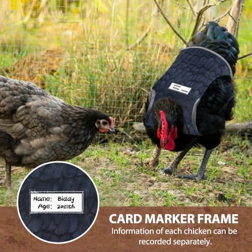Chicken Saddles for hens,Chicken Apron Back Protector for Hens with Adjustable Strap，Chicken Hen Mating Saddle，Identification Card (Mixing) - color: Mixing