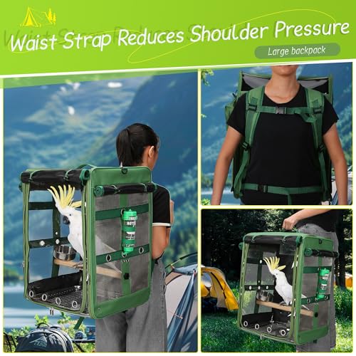 Bird Carrier Travel Cage, Cockatoo Carrier, Parrot Travel Backpack with Unbreakable Stainless Steel Mesh, Perch, Water Bottle and Food Bowl, X-Large Green - color: Green, size: 17.5"L x 14.8"W x 23.6"H