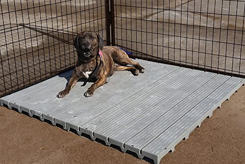 8' X 20' Raised Dog Kennel Run Flooring